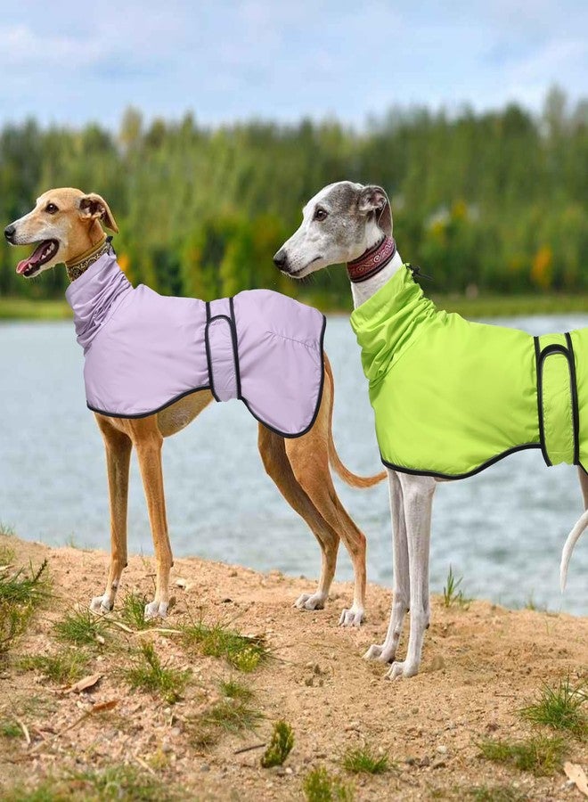 Morezi Greyhound Whippet Raincoat Waterproof with Reflective Stripe high Neck fit for Italian Greyhounds Whippets Long Back Breeds - Light Green - S - Image 5